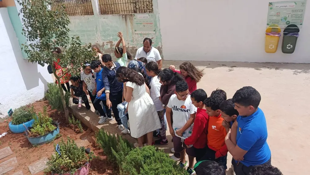 Les élèves observent des plantes lors de la visite à l’école Zoulikha Nasri.